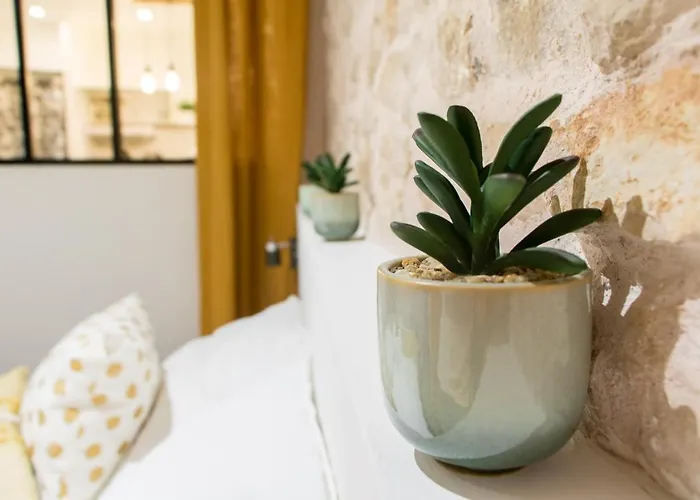 アパート Cosy Nimes-centre ニーム